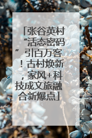 张谷英村“活态密码”引百万客！古村焕新，家风+科技成文旅融合新爆点