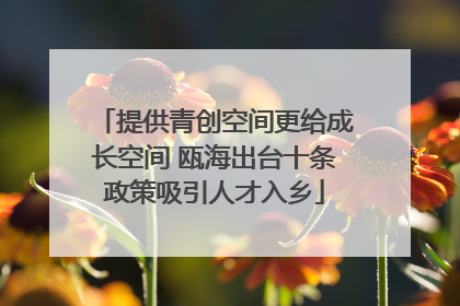 提供青创空间更给成长空间 瓯海出台十条政策吸引人才入乡