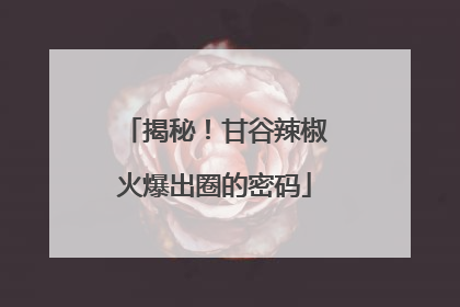 揭秘！甘谷辣椒火爆出圈的密码