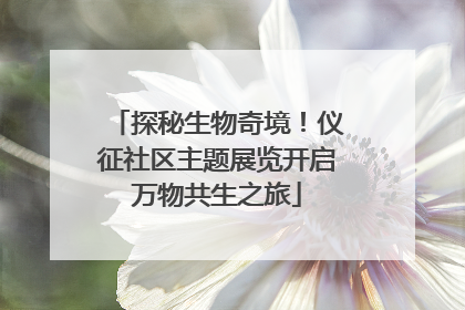 探秘生物奇境！仪征社区主题展览开启万物共生之旅