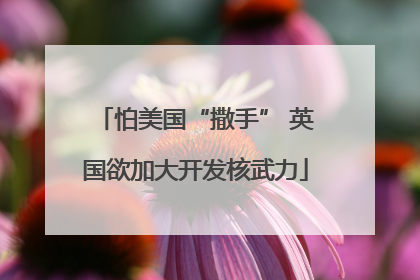 怕美国“撒手” 英国欲加大开发核武力