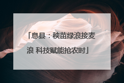 息县：秧苗绿浪接麦浪 科技赋能抢农时