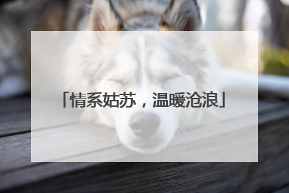 情系姑苏，温暖沧浪