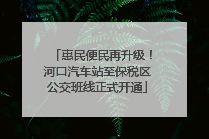 惠民便民再升级！河口汽车站至保税区公交班线正式开通