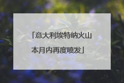 意大利埃特纳火山本月内再度喷发