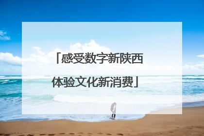 感受数字新陕西 体验文化新消费
