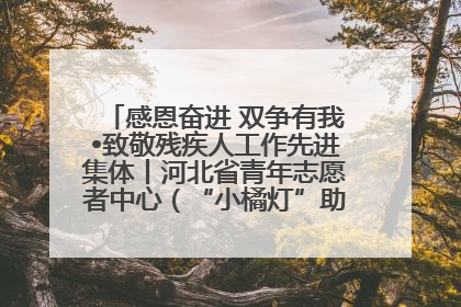 感恩奋进 双争有我•致敬残疾人工作先进集体丨河北省青年志愿者中心（“小橘灯”助残接力计划实施团队）：用温暖陪伴，守护特殊孩子成长