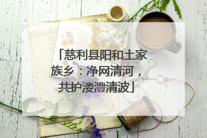 慈利县阳和土家族乡：净网清河，共护溇澧清波