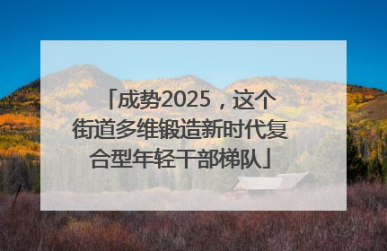 成势2025，这个街道多维锻造新时代复合型年轻干部梯队