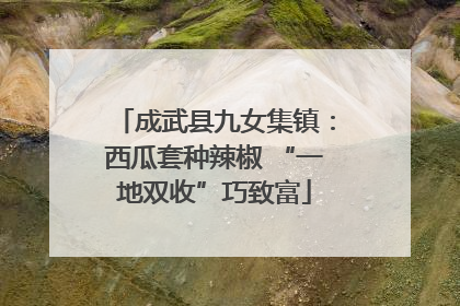 成武县九女集镇：西瓜套种辣椒 “一地双收”巧致富