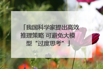 我国科学家提出高效推理策略 可避免大模型“过度思考”
