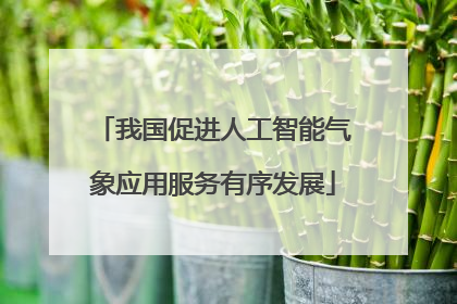 我国促进人工智能气象应用服务有序发展