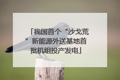 我国首个“沙戈荒”新能源外送基地首批机组投产发电