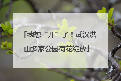 我想“开”了！武汉洪山多家公园荷花绽放