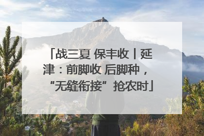 战三夏 保丰收丨延津：前脚收 后脚种，“无缝衔接”抢农时