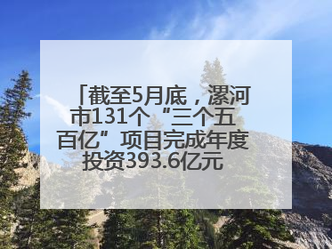 截至5月底，漯河市131个“三个五百亿”项目完成年度投资393.6亿元，占年度投资计划的50.41%——“三个五百亿”项目带动产业提质升级