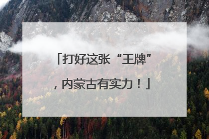 打好这张“王牌”，内蒙古有实力！