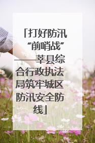 打好防汛“前哨战”——莘县综合行政执法局筑牢城区防汛安全防线