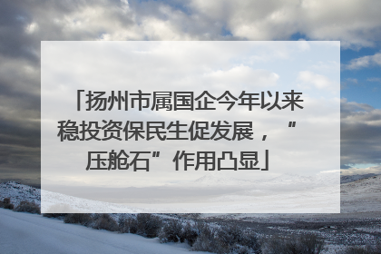 扬州市属国企今年以来稳投资保民生促发展，“压舱石”作用凸显