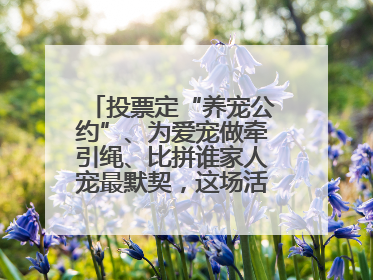投票定“养宠公约”、为爱宠做牵引绳、比拼谁家人宠最默契，这场活动有趣更有意义