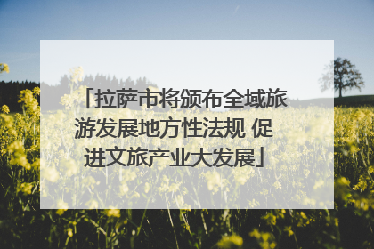 拉萨市将颁布全域旅游发展地方性法规 促进文旅产业大发展