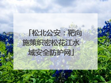 松北公安：靶向施策织密松花江水域安全防护网