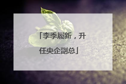 李季履新，升任央企副总