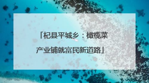 杞县平城乡：橄榄菜产业铺就富民新道路