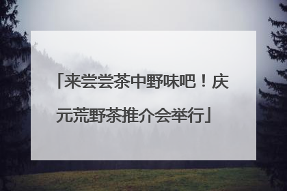 来尝尝茶中野味吧！庆元荒野茶推介会举行