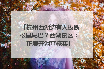 杭州西湖边有人拔断松鼠尾巴？西湖景区：正展开调查核实