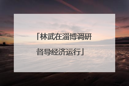 林武在淄博调研督导经济运行