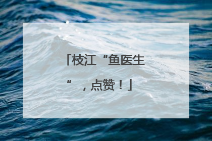 枝江“鱼医生”，点赞！