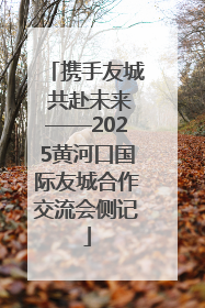 携手友城 共赴未来——2025黄河口国际友城合作交流会侧记