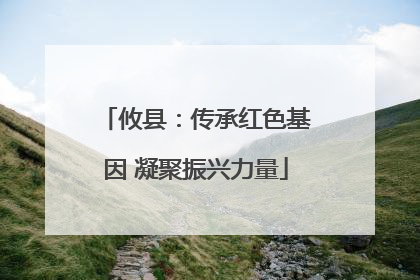 攸县：传承红色基因 凝聚振兴力量