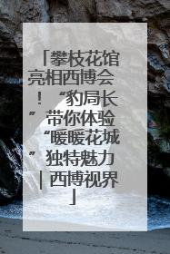 攀枝花馆亮相西博会！“豹局长”带你体验“暖暖花城”独特魅力｜西博视界