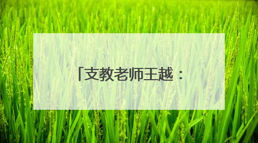 支教老师王越：爱是一棵树，会撼动另一棵树