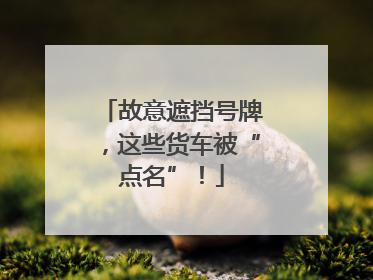 故意遮挡号牌，这些货车被“点名”！