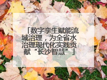 数字孪生赋能流域治理，为全省水治理现代化实践贡献“长沙智慧”