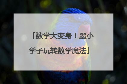 数学大变身！墨小学子玩转数学魔法