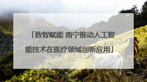 数智赋能 南宁推动人工智能技术在医疗领域创新应用