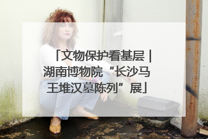 文物保护看基层｜湖南博物院“长沙马王堆汉墓陈列”展