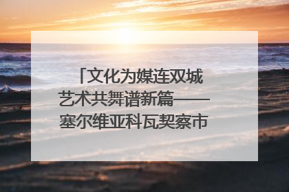文化为媒连双城 艺术共舞谱新篇——塞尔维亚科瓦契察市代表团访问日照