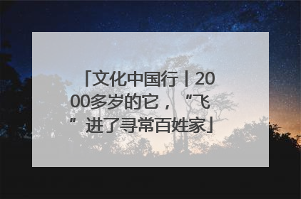 文化中国行丨2000多岁的它，“飞”进了寻常百姓家