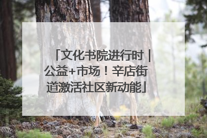 文化书院进行时｜公益+市场！辛店街道激活社区新动能
