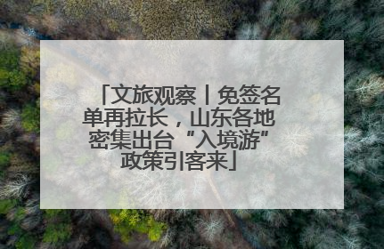 文旅观察丨免签名单再拉长，山东各地密集出台“入境游”政策引客来