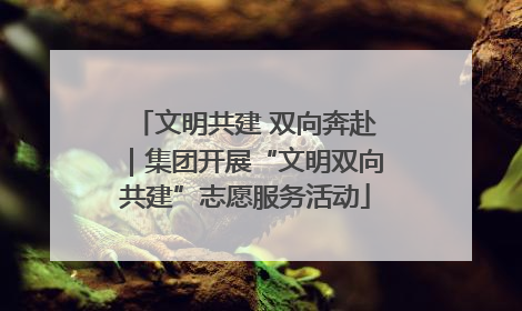 文明共建 双向奔赴｜集团开展“文明双向共建”志愿服务活动