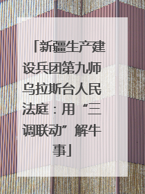 新疆生产建设兵团第九师乌拉斯台人民法庭：用“三调联动”解牛事