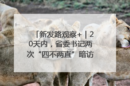 新发路观察+｜20天内，省委书记两次“四不两直”暗访，有何深意？