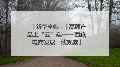 新华全媒+｜高原产品上“云”端——西藏电商发展一线观察