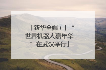 新华全媒+丨“世界机器人嘉年华”在武汉举行